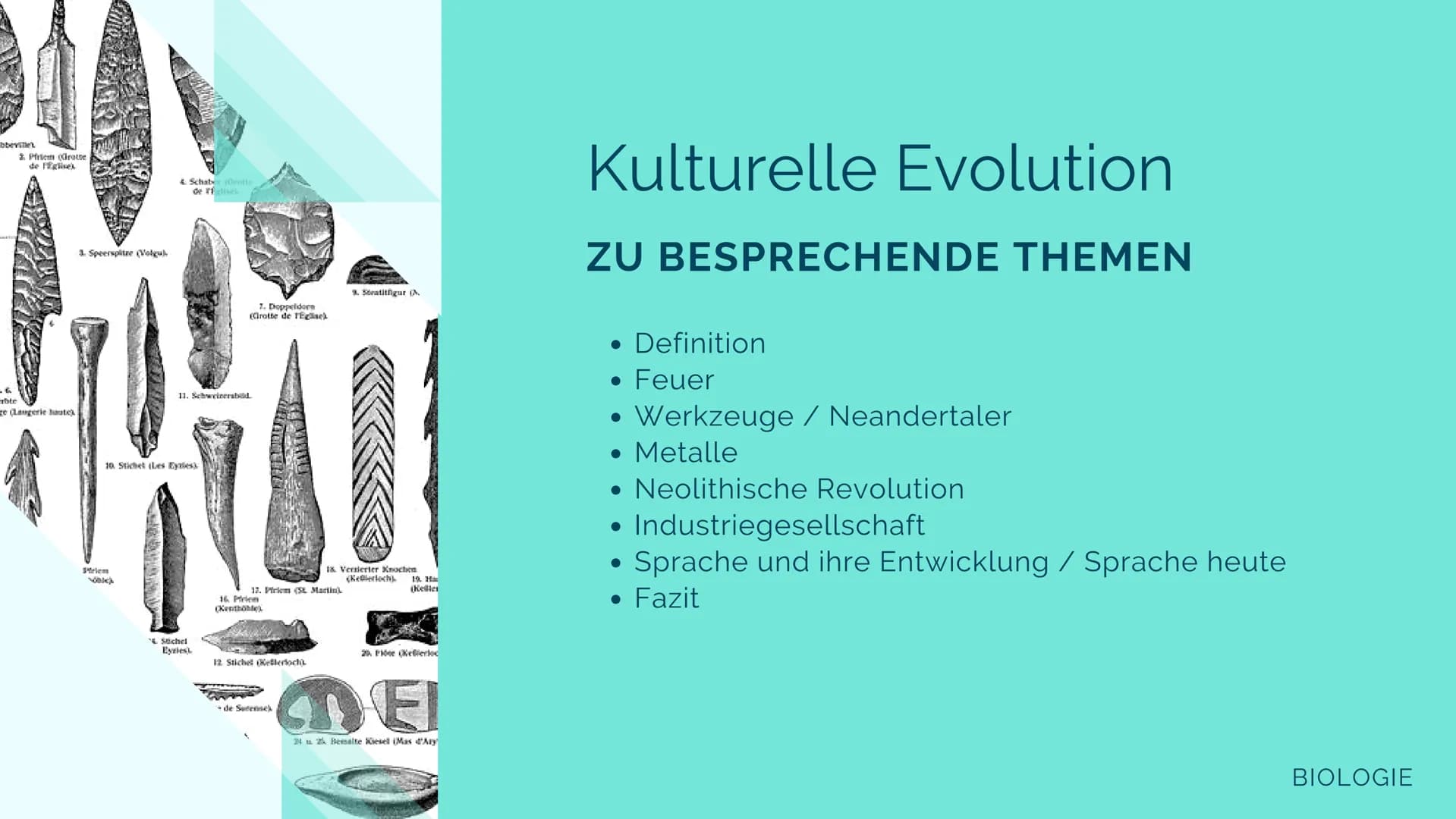 # BIOLOGIE LK
# Kulturelle
# Evolution
Jolie F. Q2 bbeville
Priem (Grotte
de Eglise
4. Schabes (Grotte
de felisc
3. Speerspitze (Volgu)
11