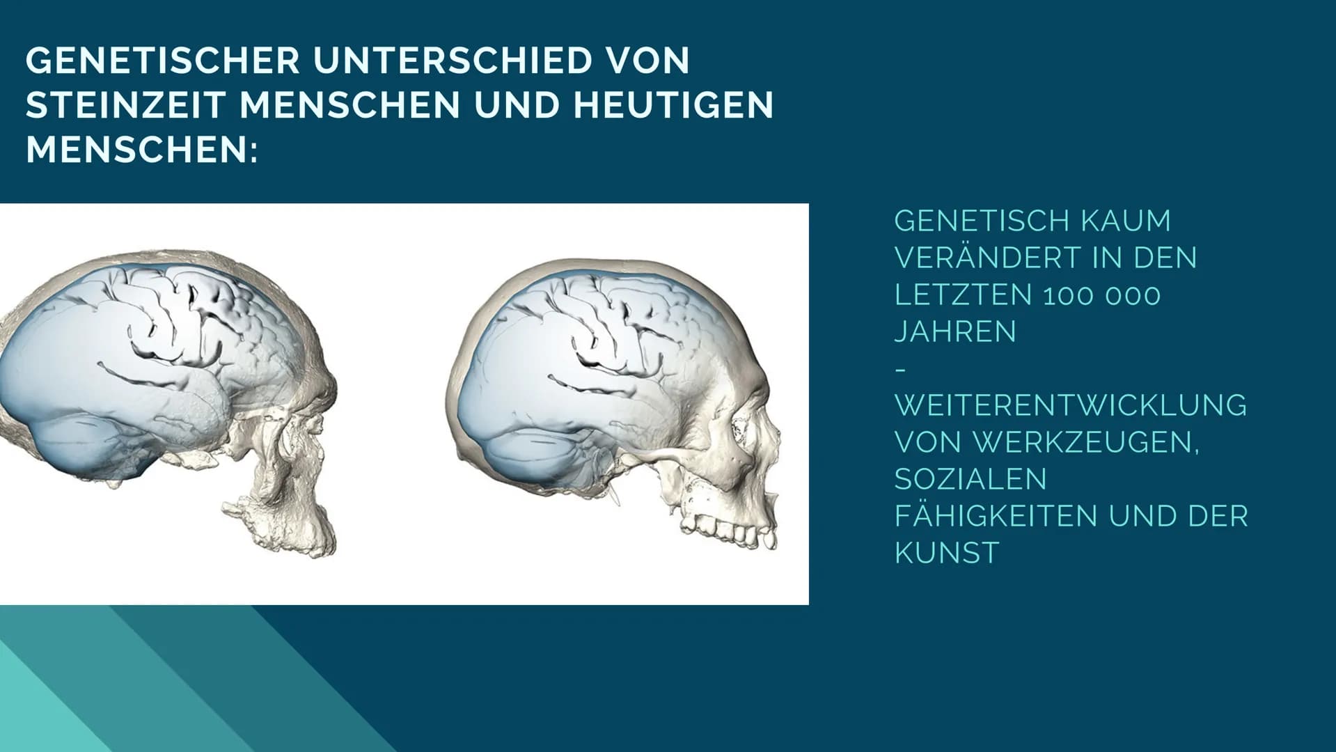 # BIOLOGIE LK
# Kulturelle
# Evolution
Jolie F. Q2 bbeville
Priem (Grotte
de Eglise
4. Schabes (Grotte
de felisc
3. Speerspitze (Volgu)
11