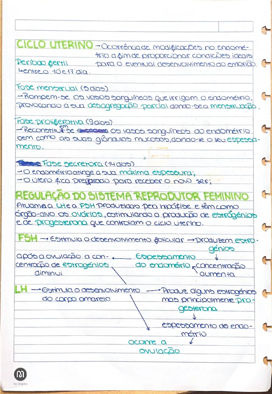 SISTEMA REPRODUTOR FEMIN
Colo do útero
ou cervix
Clitoris-estrutura
de grande sen-
sibilidade situada
na união dos pe-
quenos lábios.
DOG