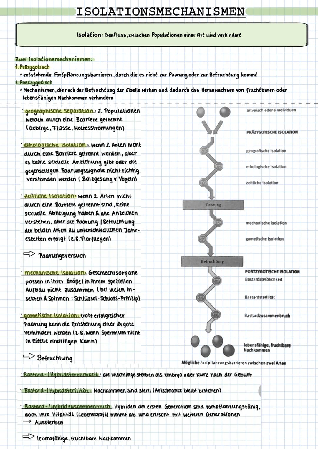 # ISOLATIONSMECHANISMEN
Isolation: Genfluss, zwischen Populationen einer Art wird verhindert
Zwei Isolationsmechanismen:
1. Präzygotisch
=