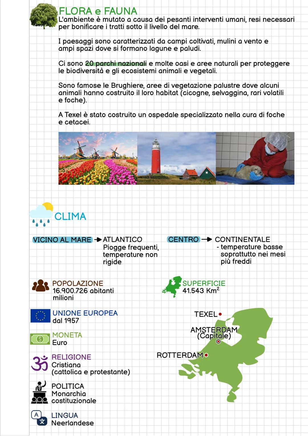 # REGIONE FRANCESE
E' situata nell'area centro-occidentale dell'Europa
NORD
MARE
del NORD
Regno
Unito
Paesi
Bassi
Belgio
Germania
►Lussem