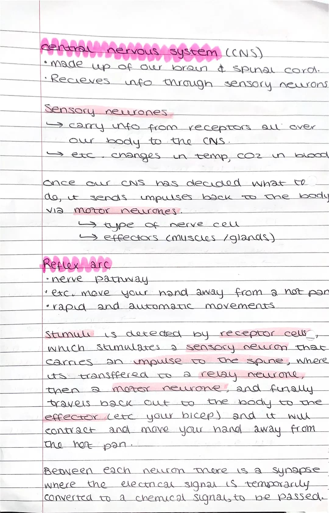 # Nervous system.
→ coordenate behaviour
→ respond to stumulus/ surroundings.
* we rely on our nervous system
# Nevve cell
* Lots o