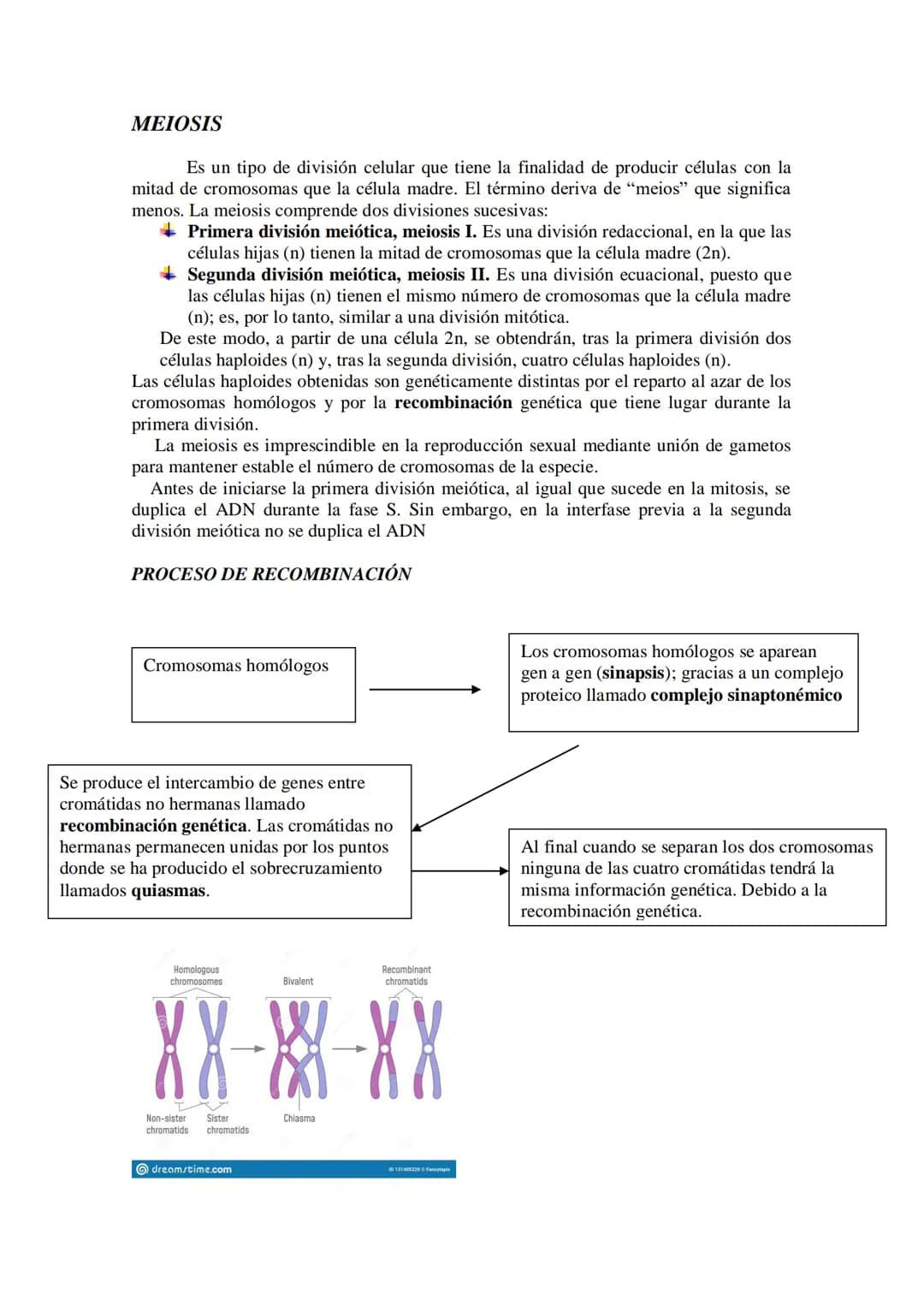 # Tema 14: EL CICLO CELULAR. MITOSIS Y MEIOSIS.
* El ciclo celular. Descripción de las fases.
* División celular: mitosis y citocinesis