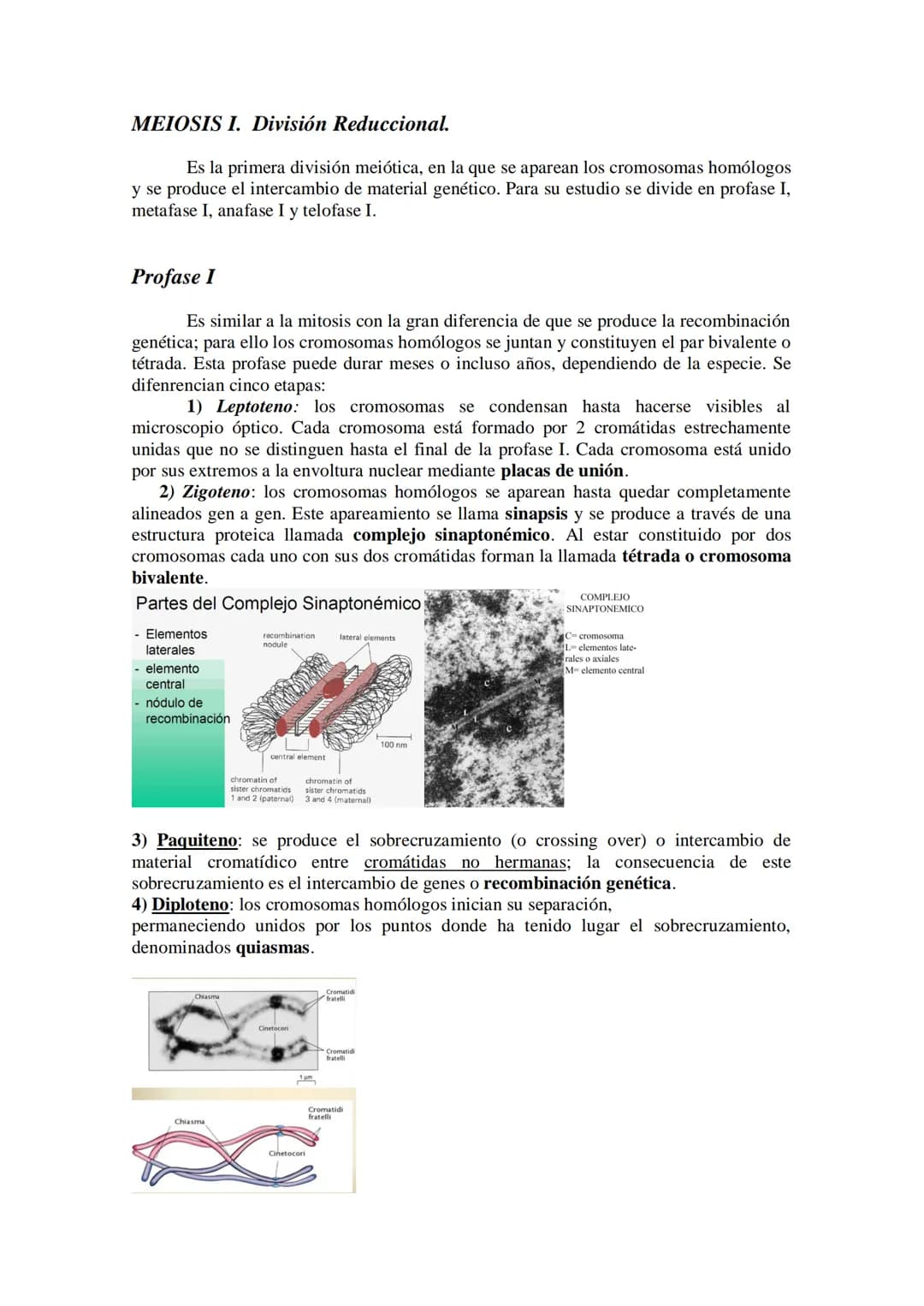 # Tema 14: EL CICLO CELULAR. MITOSIS Y MEIOSIS.
* El ciclo celular. Descripción de las fases.
* División celular: mitosis y citocinesis