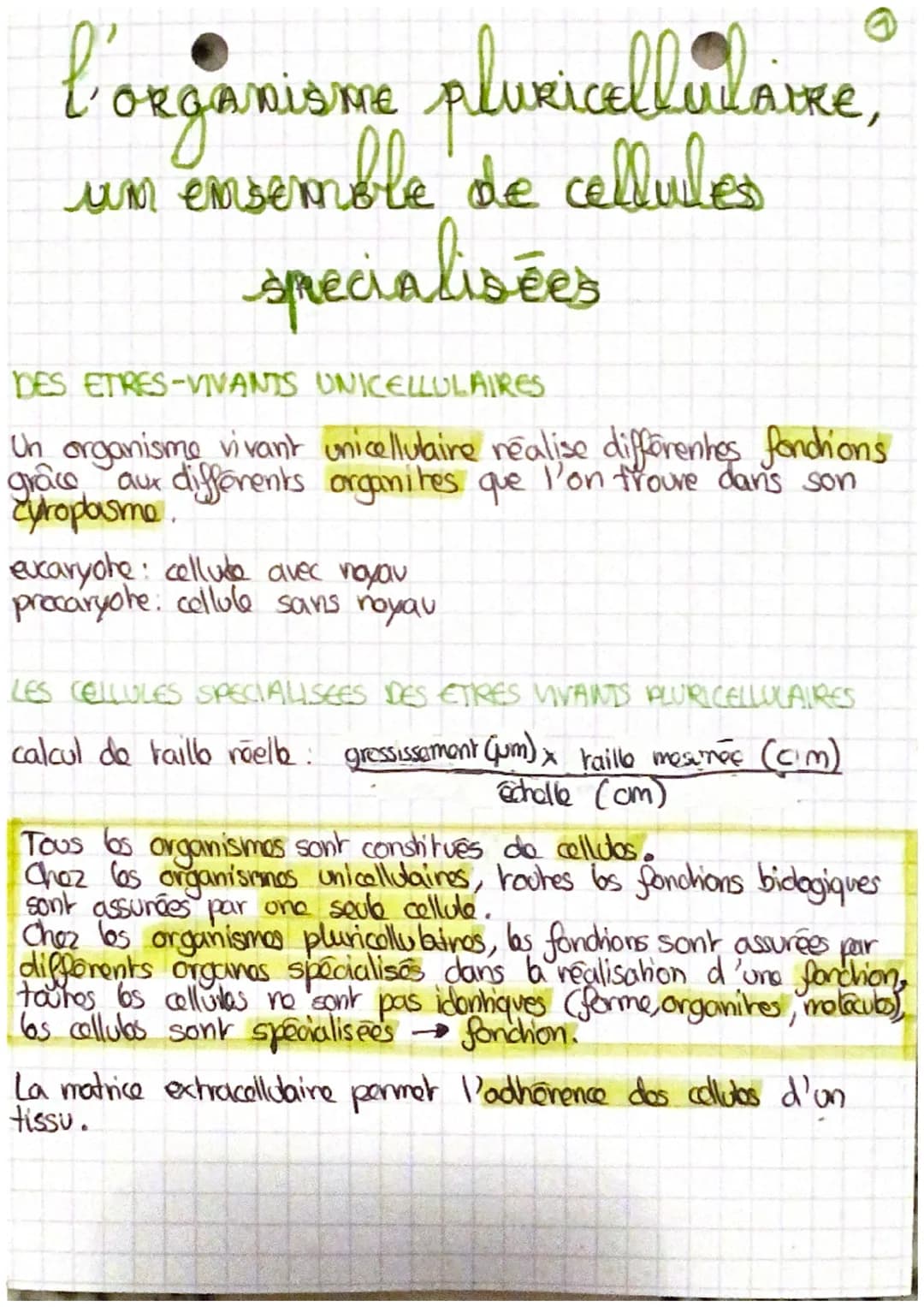 # l'organisme pluxicellulaire,
um ensemble de cellules
specialisées
DES ETRES-VIVANTS UNICELLULAIRES
Un organisme vivant unicellulaire réa