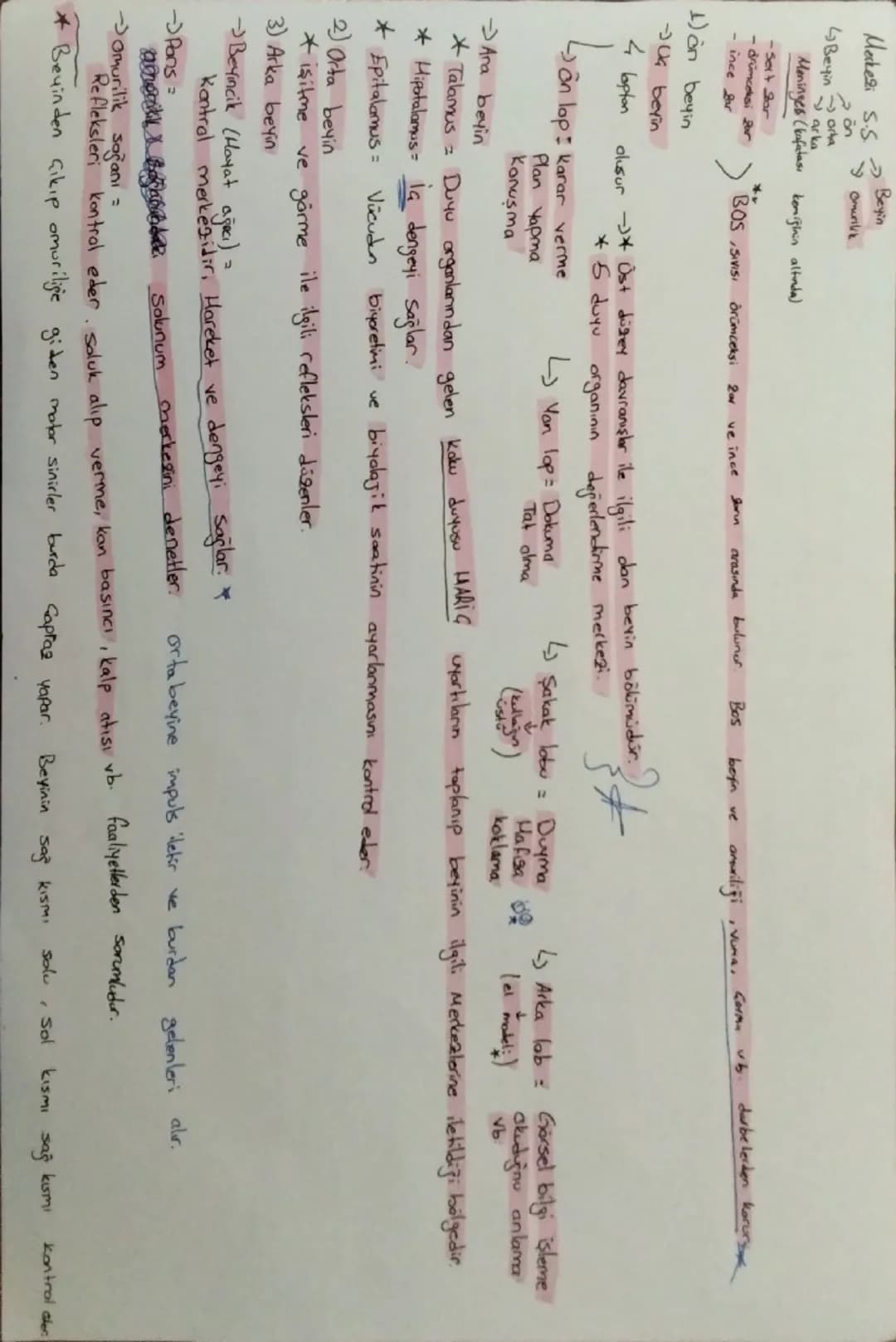* impulsun Hizm =
artırma
Wären Dendirit Hücre gövdesi
→Akon
Uyarı Dendrit H.G. Akson Akson ucu Sinapsis
kaln
Bayotse Hizl
- Ak sonun çapı