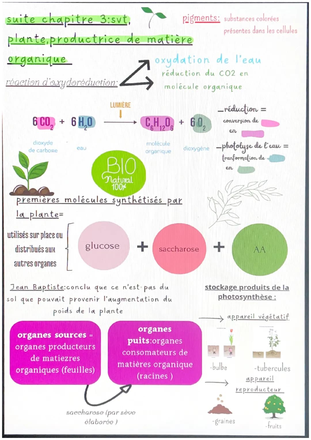 # chapitre 1:svt
l'organisation fonctionnelle des
plantes à fleurs
micorhize bénéfice réciproque
=symbiose
produita de la
photosynthos
