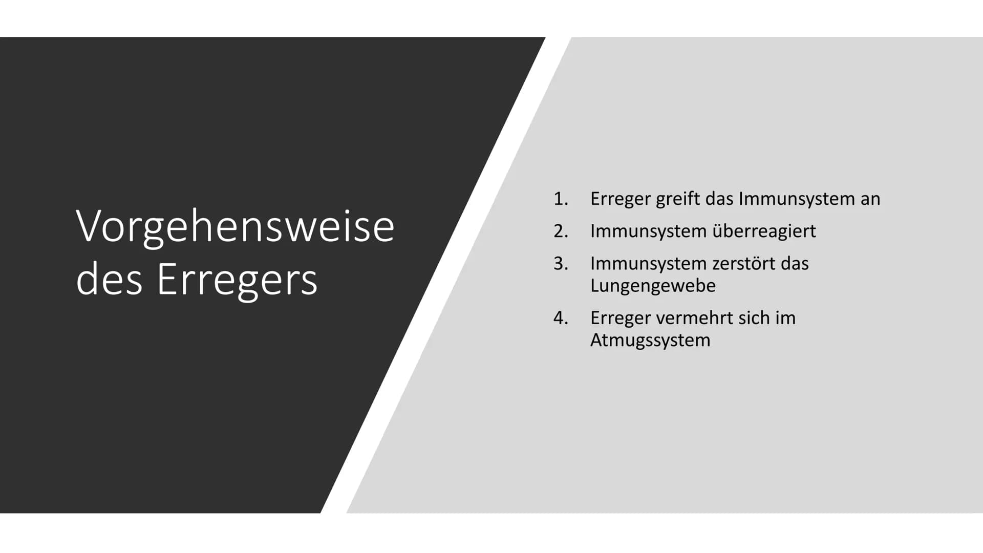 # Die spanische Grippe Inhaltsverzeichnis
Besonderheit der Grippe
3
Symptome
4
Ausbruch
5
Maßnahmen
6
Folgen weltweit
8
Aufbau des Erregers