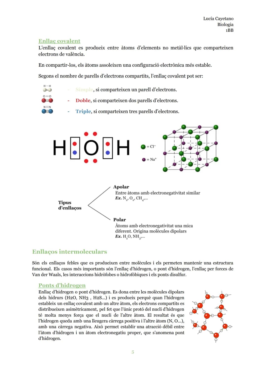 # LA COMPOSICIÓ
## QUÍMICA DE LA MATÈRIA
Biologia INDEX
Àtom..............................................................................