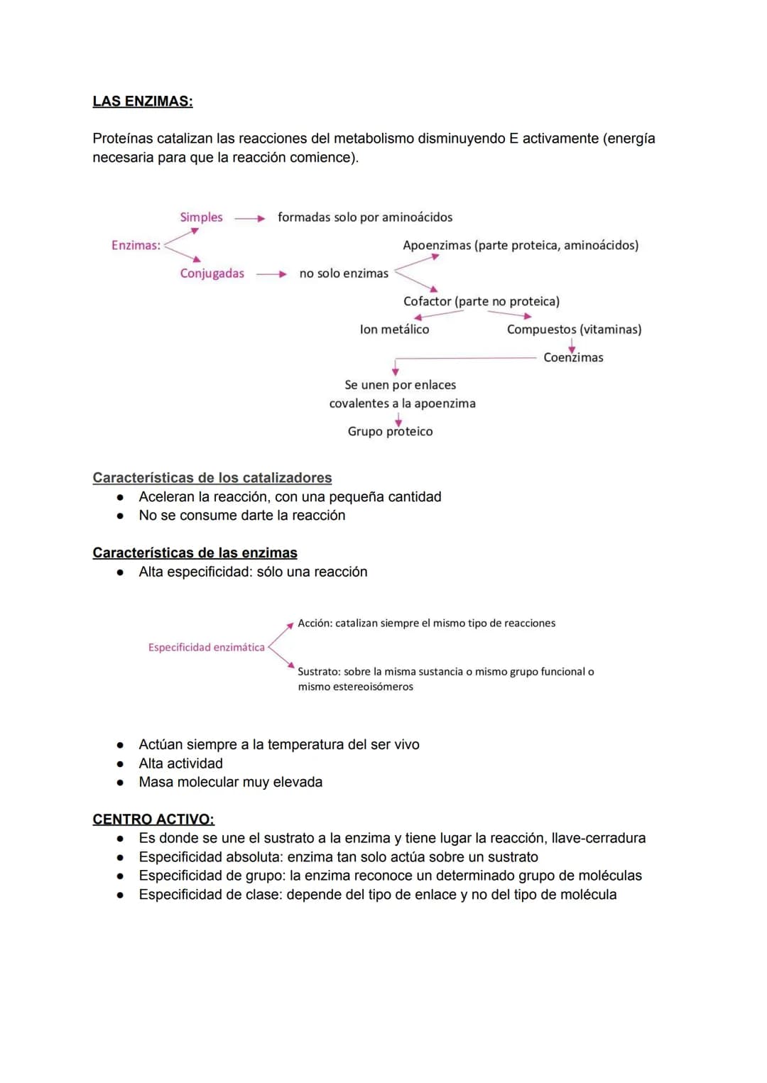 # LAS ENZIMAS:
Proteínas catalizan las reacciones del metabolismo disminuyendo E activamente (energía
necesaria para que la reacción comien
