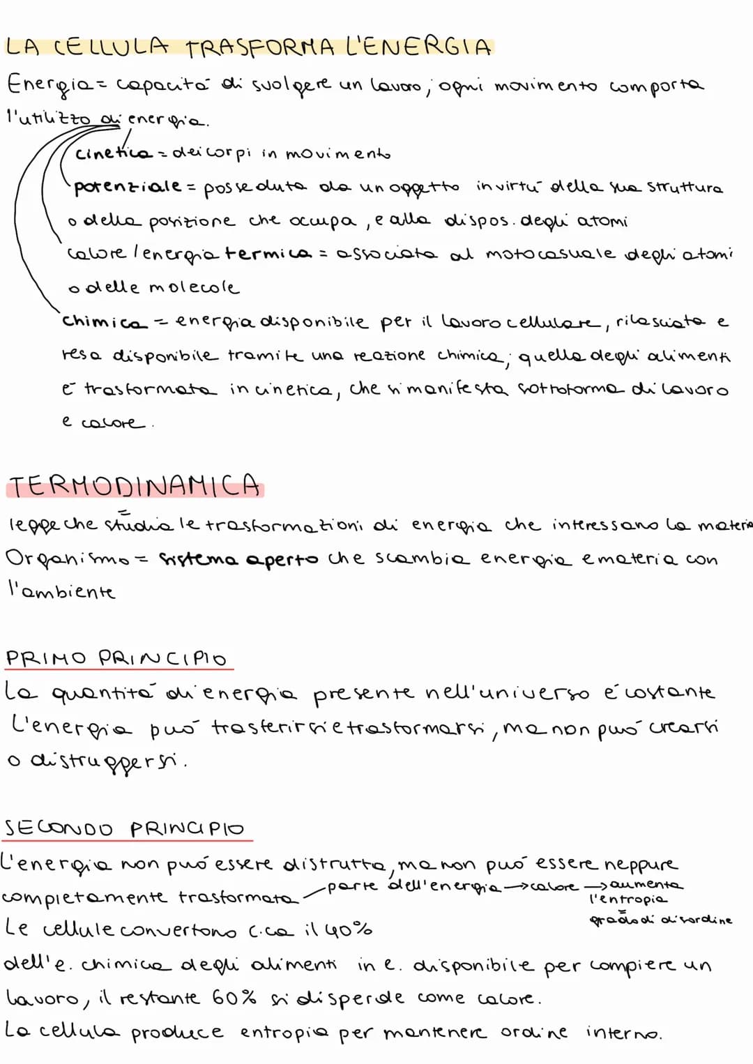 # BIOLOGIA
A OGNI LIVELLO DI ORGANIZZAZIONE EMERGO
PROPRIETA DIVERSE
02
1 BIOSFERA
= porzione di superficie terrestre che ospita la vita.