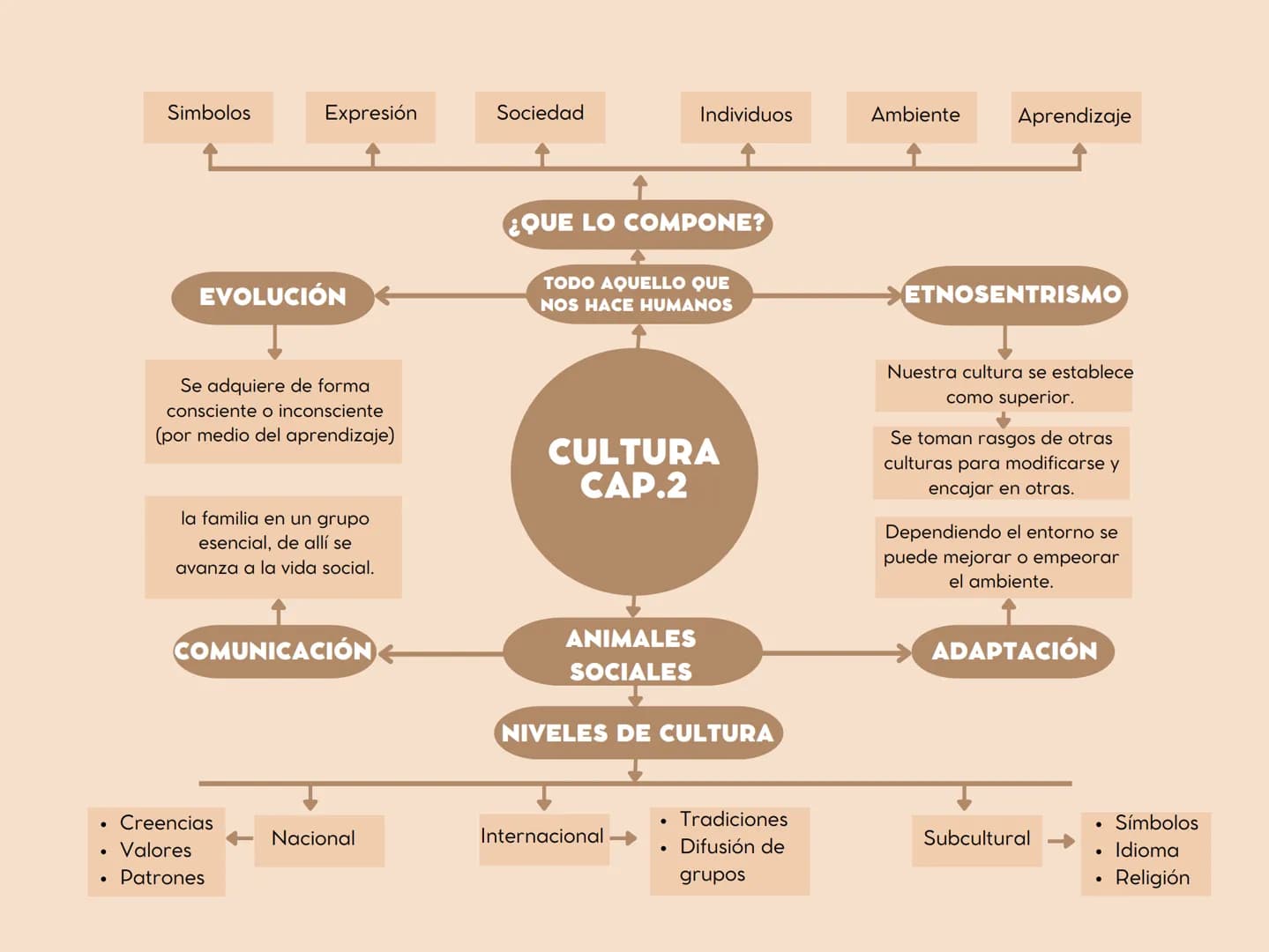 Simbolos
Expresión
Sociedad
↑
Individuos
Ambiente
Aprendizaje
EVOLUCIÓN
¿QUE LO COMPONE?
4
TODO AQUELLO QUE
NOS HACE HUMANOS
ETNOSENTRISMO