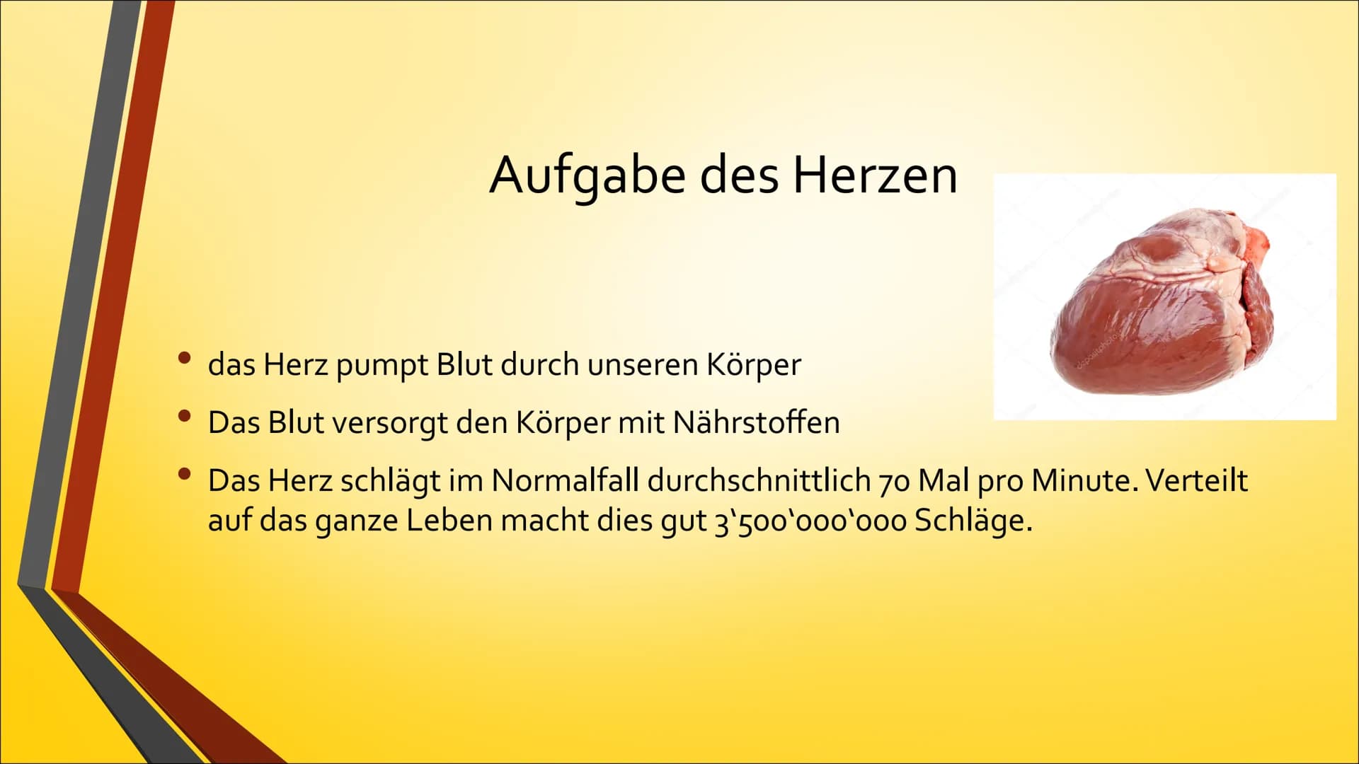 Herz Inhaltsverzeichnis
• Anatomie (Aufbau)
• Physiologie (Funktion)
• Herzerkrankungen
• Herzeingriffe
• Quiz # Anatomie Steckbrief
• Grö