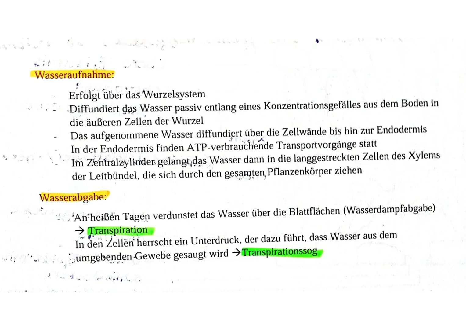 Wasser und Stofftransport λη Pflanzen
Cuticula
Obere Epidermis
-Chloroplast
Palisadengewebe
Xylem
Phloem
-Leitbündel/Blattader/-nerv
Schw