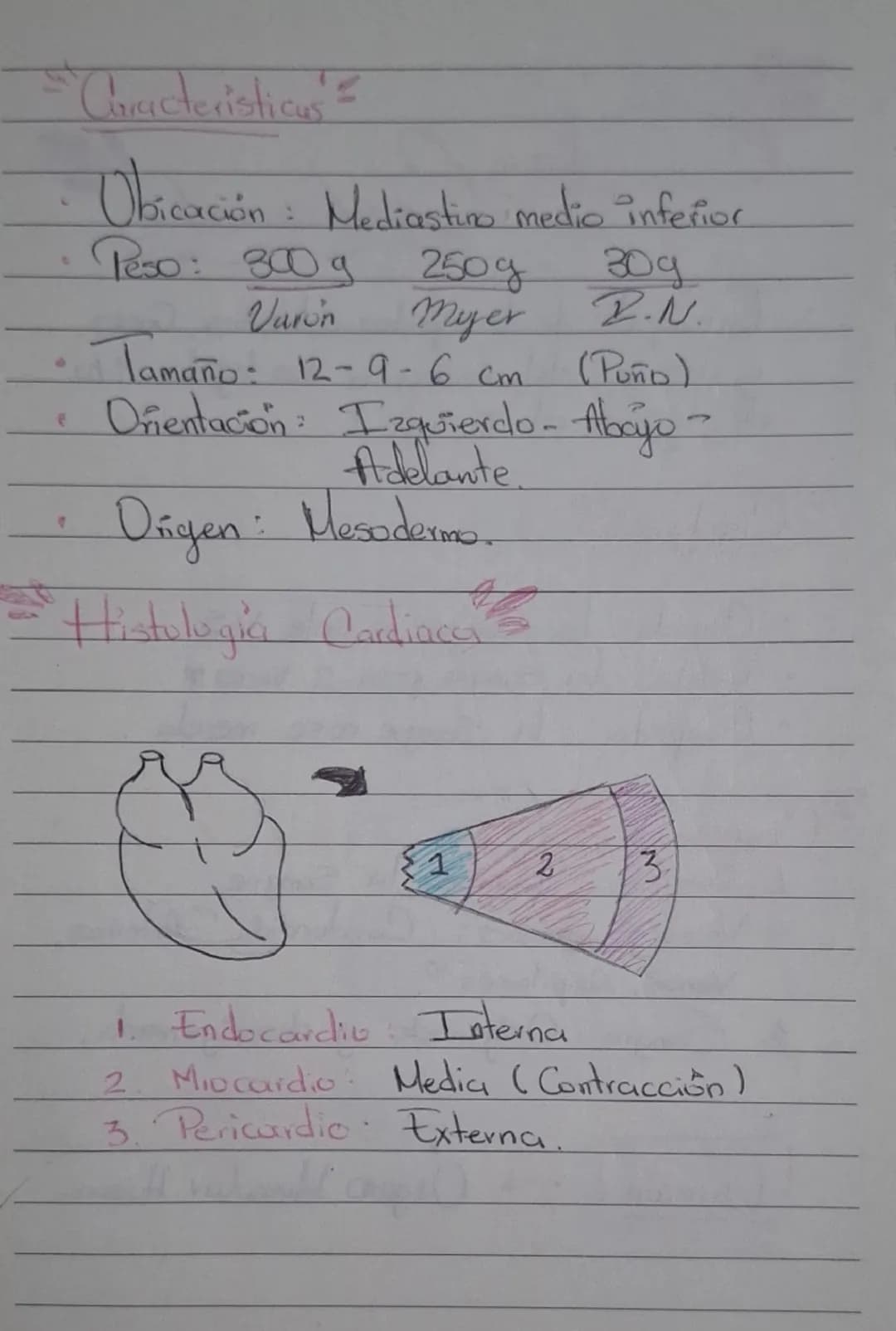 # Sistema Cardiovascular
- Encargado de transportar nutrientes, gases y desechos del corazón a los tejidos y/o de tejidos al corazón.
## C