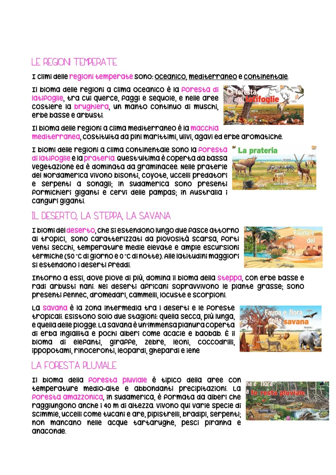 # La Biosfera e i Biomi
UN SOTTILE STRATO DI VITA
La biosfera è il luogo sulla terra dove si sviluppano animali e vegetali. Essa
funziona