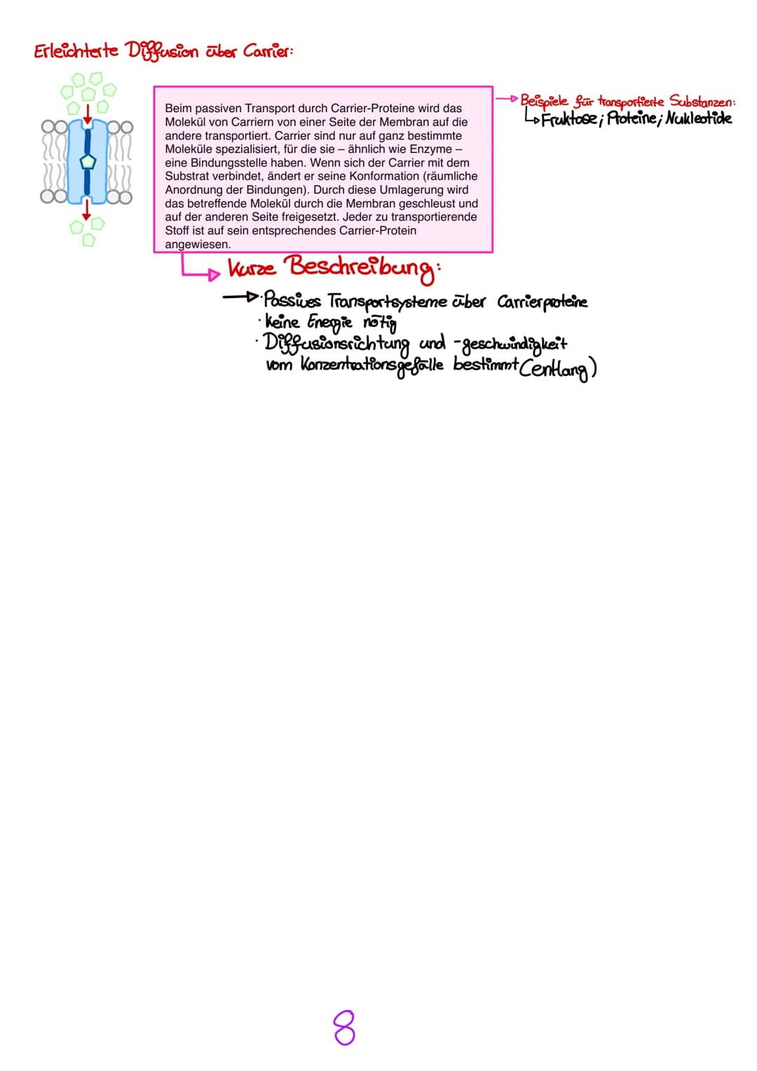 # Passive Transportmechanismen:
entlang des Konzentrationsgefälle (hypo-hyper)
ohne Energie
Der passive Transport ist eine Form der Bewegun