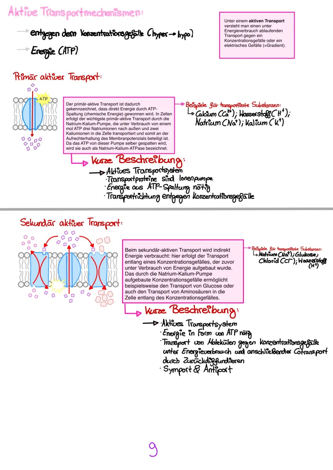 # Passive Transportmechanismen:
entlang des Konzentrationsgefälle (hypo-hyper)
ohne Energie
Der passive Transport ist eine Form der Bewegun