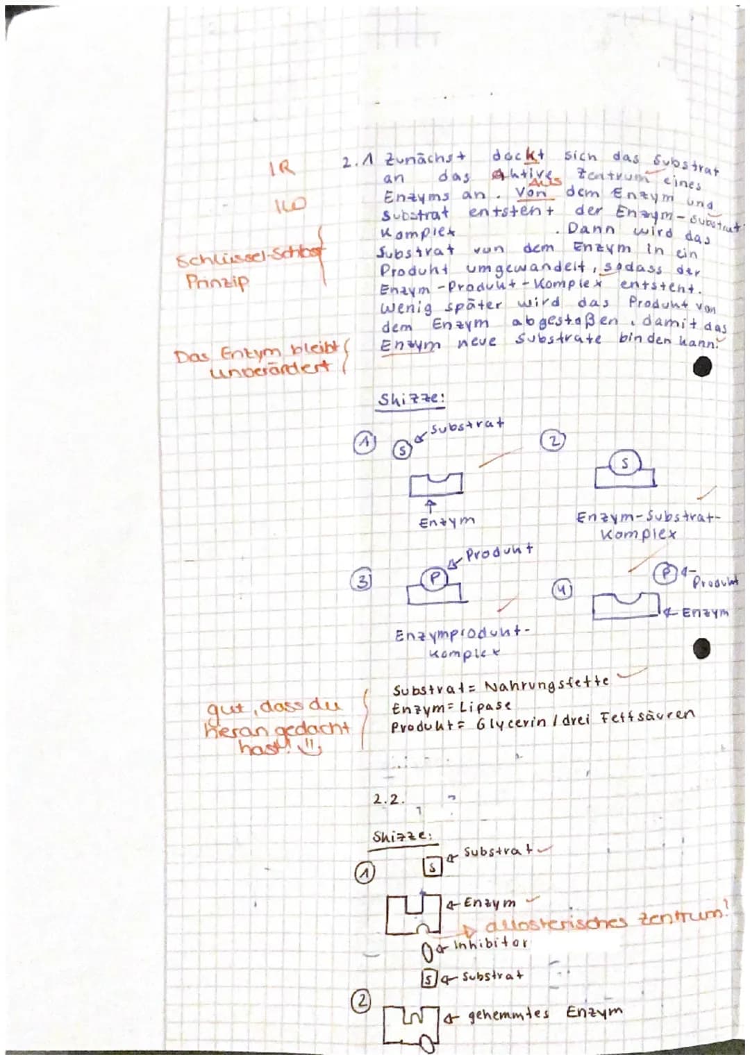 EF Biologie
Klausur Nr. 2-Enzymatik
04.03.2022
Name:
Aufgabe 1: Lactase
1.1 Beschreiben Sie den Aufbau sowie die allgemeinen Funktionen va