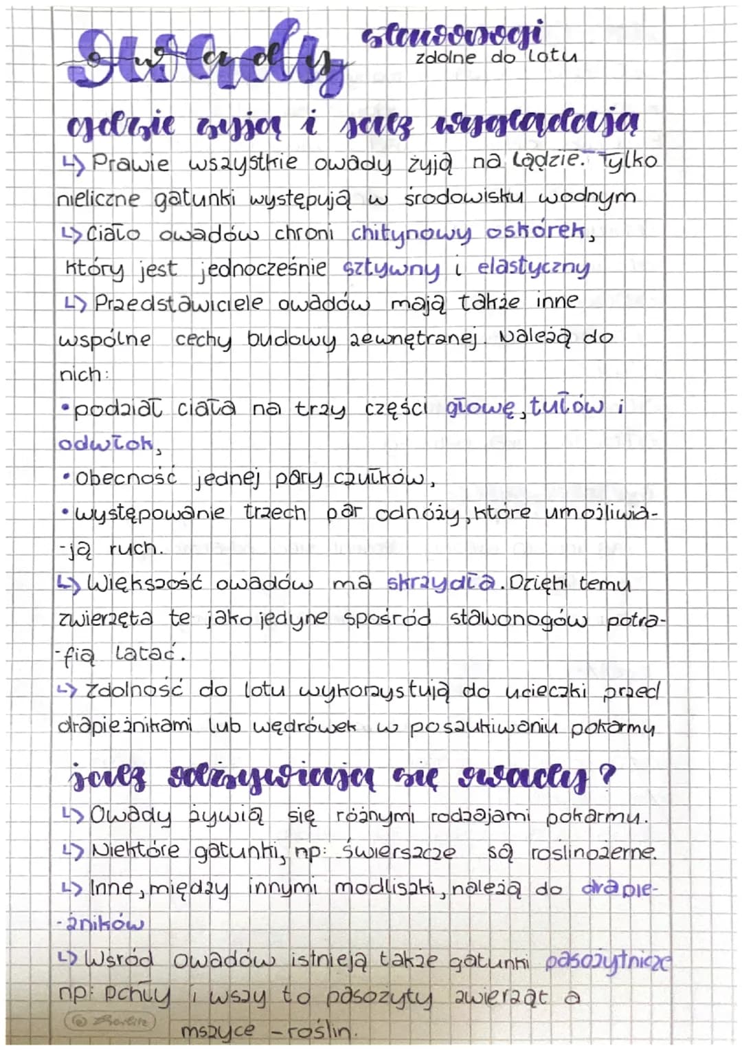 # Owady
staudorsagi
zdolne do Lotu
jdzie zyjor i salz iryglądają
4) Prawie wszystkie owady żyją na lądzie. Tylko
nieliczne gatunki występ