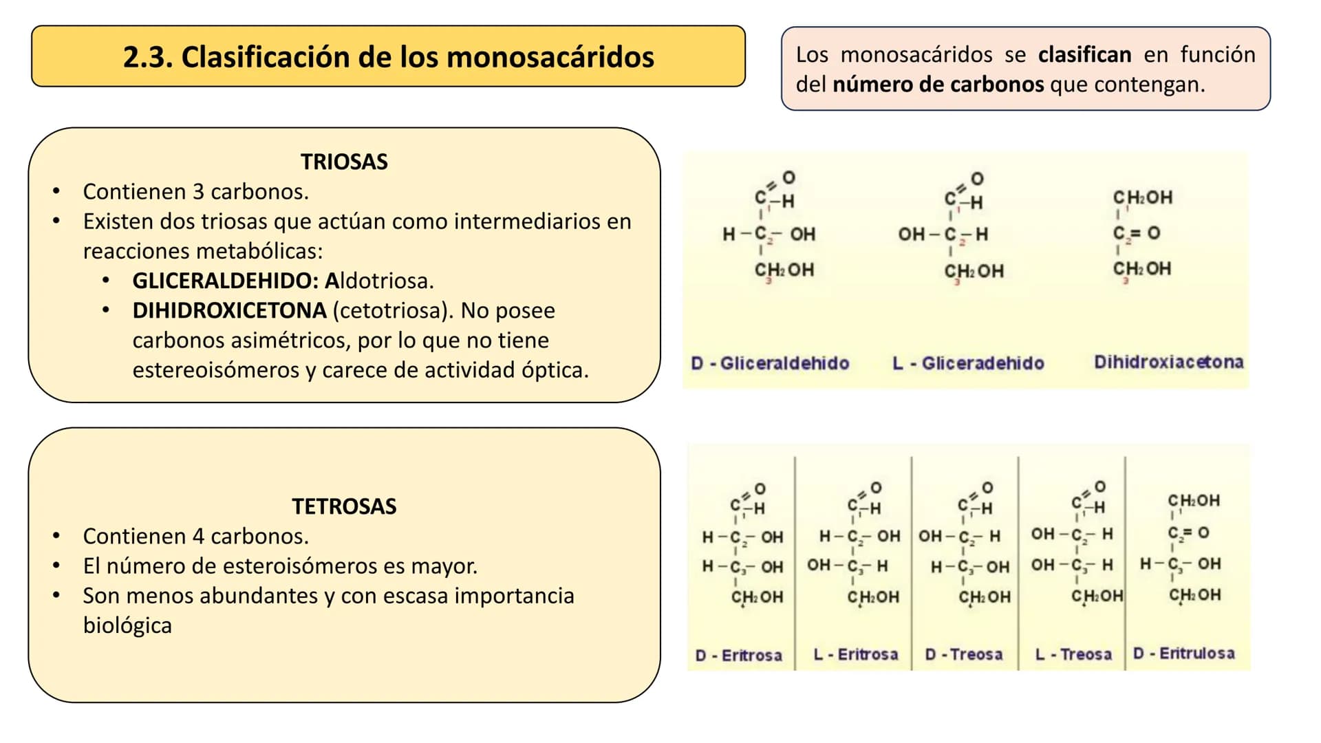 # Unidad 2
LOS GLÚCIDOS
Biología 2º Bachillerato
Marta Gómez Vera # ÍNDICE
1. Características generales y clasificación.
2. Monosacáridos