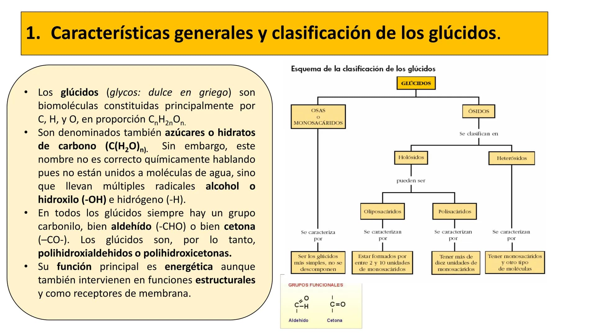# Unidad 2
LOS GLÚCIDOS
Biología 2º Bachillerato
Marta Gómez Vera # ÍNDICE
1. Características generales y clasificación.
2. Monosacáridos