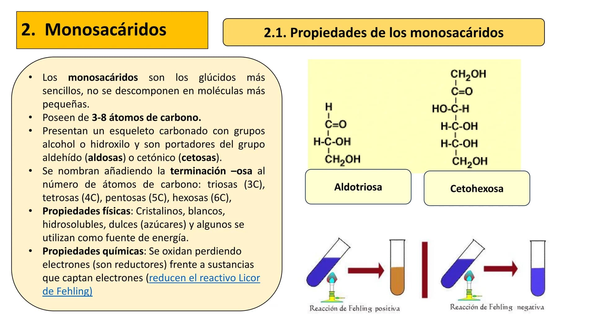 # Unidad 2
LOS GLÚCIDOS
Biología 2º Bachillerato
Marta Gómez Vera # ÍNDICE
1. Características generales y clasificación.
2. Monosacáridos