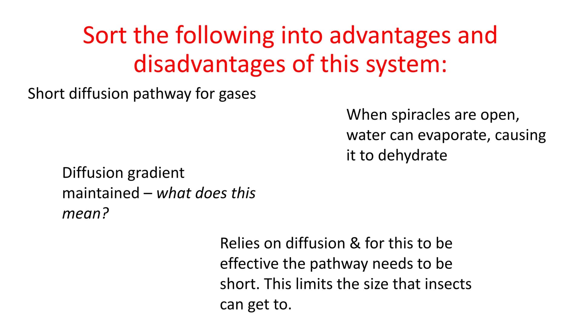 # Gas Exchange in Insects
LO1 - Label the insect Gas Exchange system
LO2 – Explain how the tracheal system is adapted for efficient gas ex