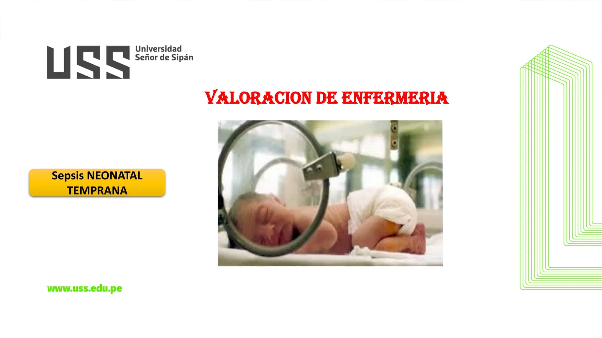 # USS
Universidad
Señor de Sipán
CURSO: CUIDADO HUMANIZADO AL NIÑO Y ADOLESCENTE II
# TEMA 06: CUIDADOS DE ENFERMERIA AL
# NEONATO CON SE