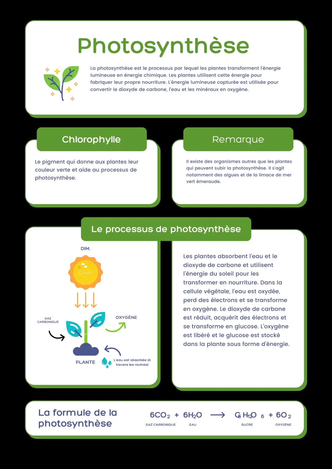 # Photosynthèse
La photosynthèse est le processus par lequel les plantes transforment l'énergie
lumineuse en énergie chimique. Les plantes