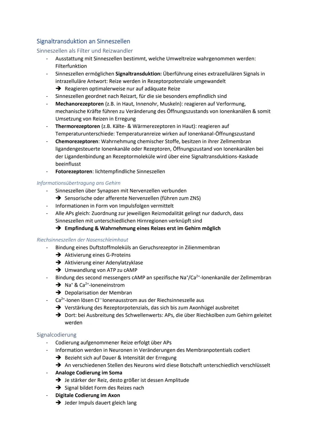 # Neuronale Informationsverarbeitung
Neuron als Grundelement der Nervenzellen
- Kleinster & wichtigster Baustein des Nervensystems
- Diene