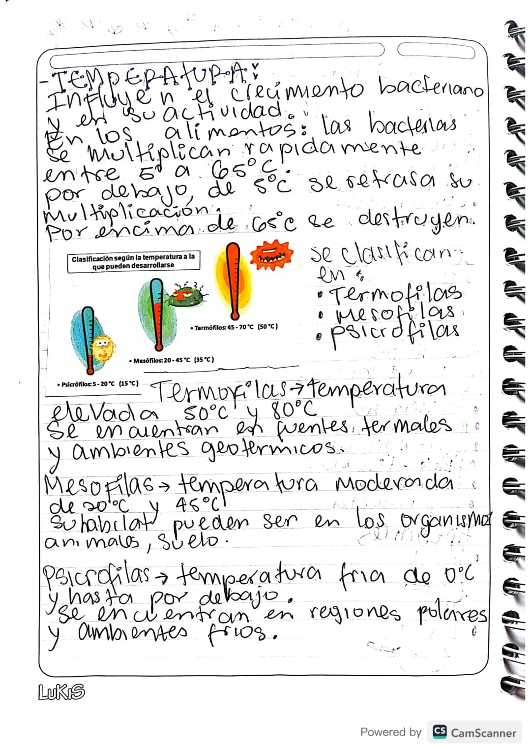 # ClaSIFICACIÓN: BACTERIANA
-MORFOLOGIA: AGRUPACIÓN
Celula
Madre e
nya.
Bacilus forma alargada, como,
barras microscopicas.care
Membran a