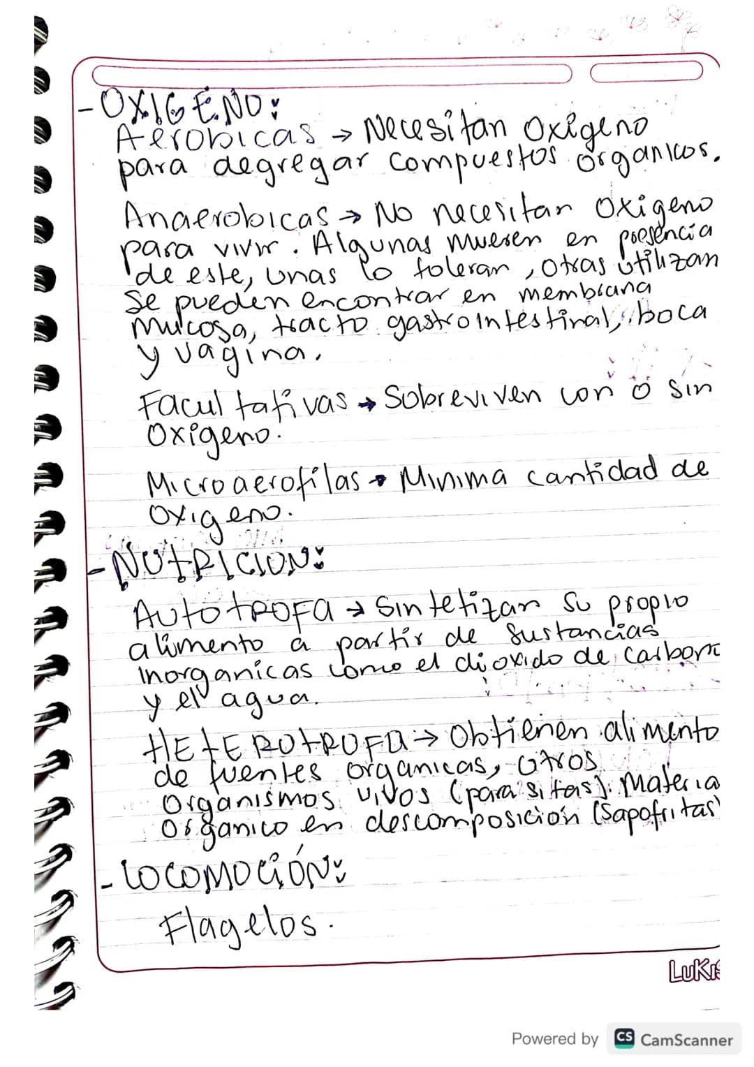 # ClaSIFICACIÓN: BACTERIANA
-MORFOLOGIA: AGRUPACIÓN
Celula
Madre e
nya.
Bacilus forma alargada, como,
barras microscopicas.care
Membran a