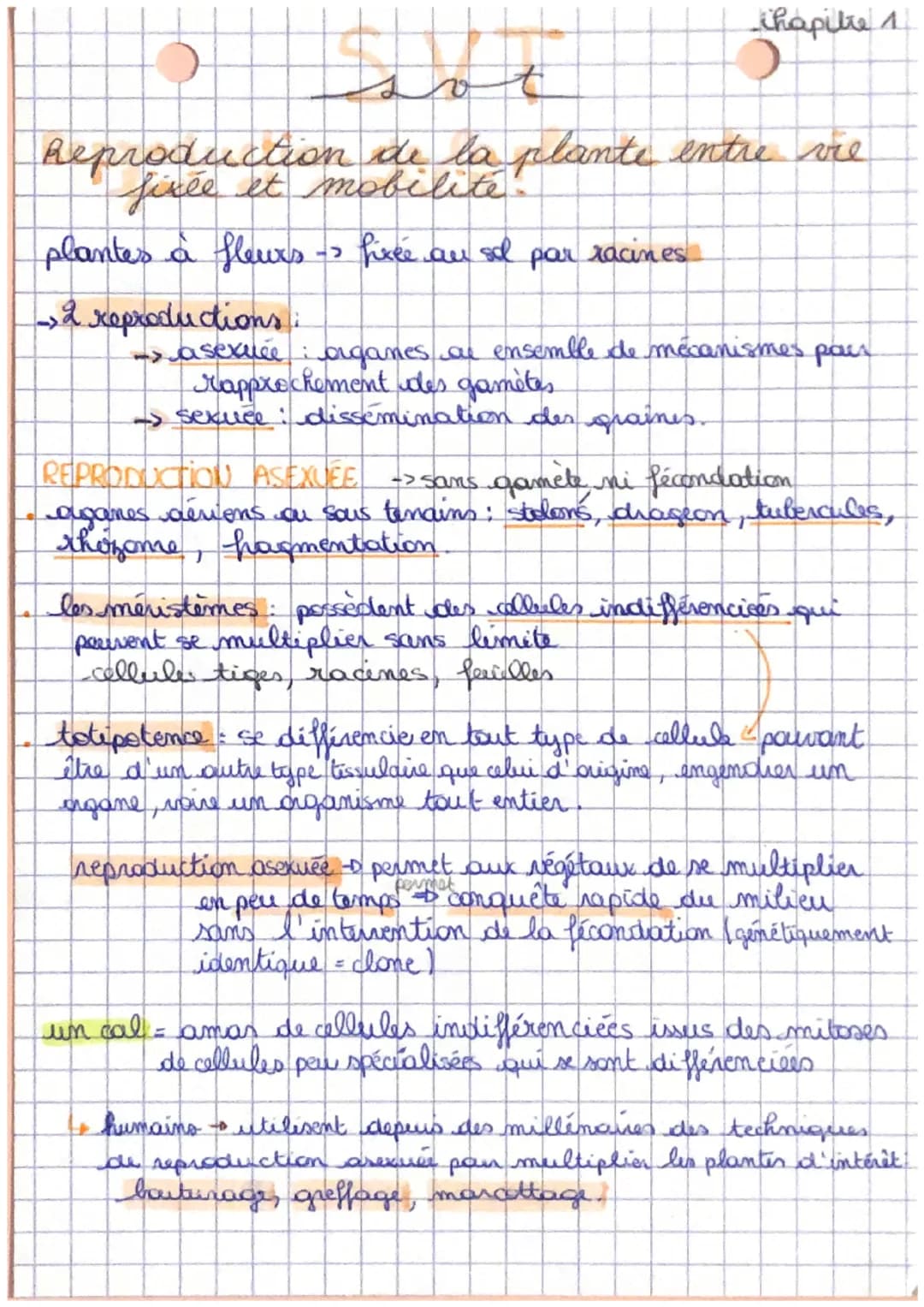 # SVT
ihapitre 1
Reproduction de la plante entre vie
fixée et mobilité!
plantes à fleurs -> fixée au sol par racines
->2 reproductions: