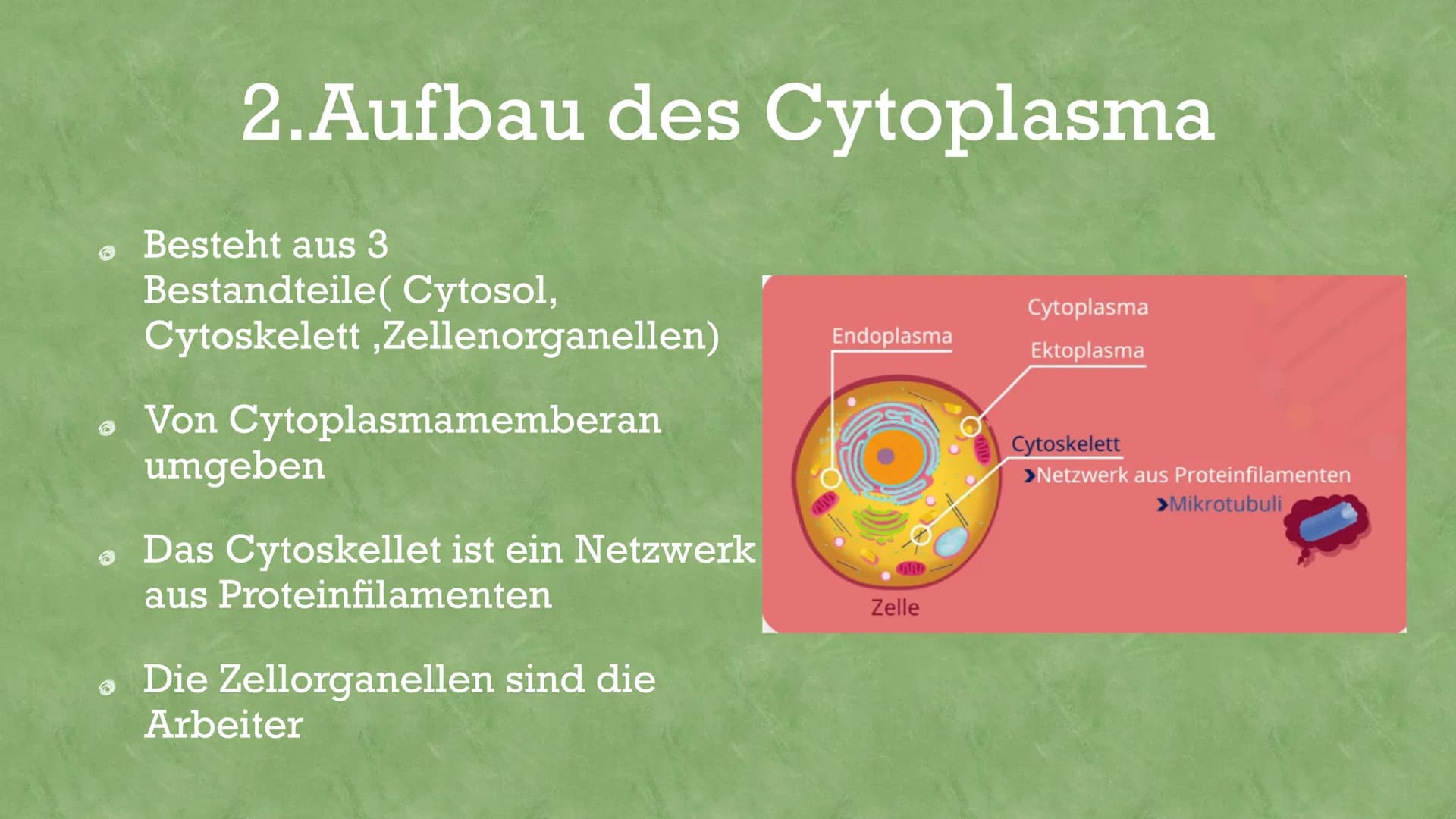 # aytoplasma
Was ist Cytoplasma?
Das Cytoplasma ist die Flüssige Grundsubstanz innerhalb line Zelle,
also besser gesagt innerhalb der Zell