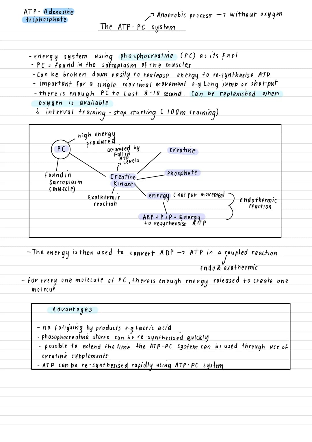 # ATP- Adenosine
triphosphate
Anaerobic process without oxygen
# The ATP-PC system
- energy system using phosphocreatine (PC) as its fuel