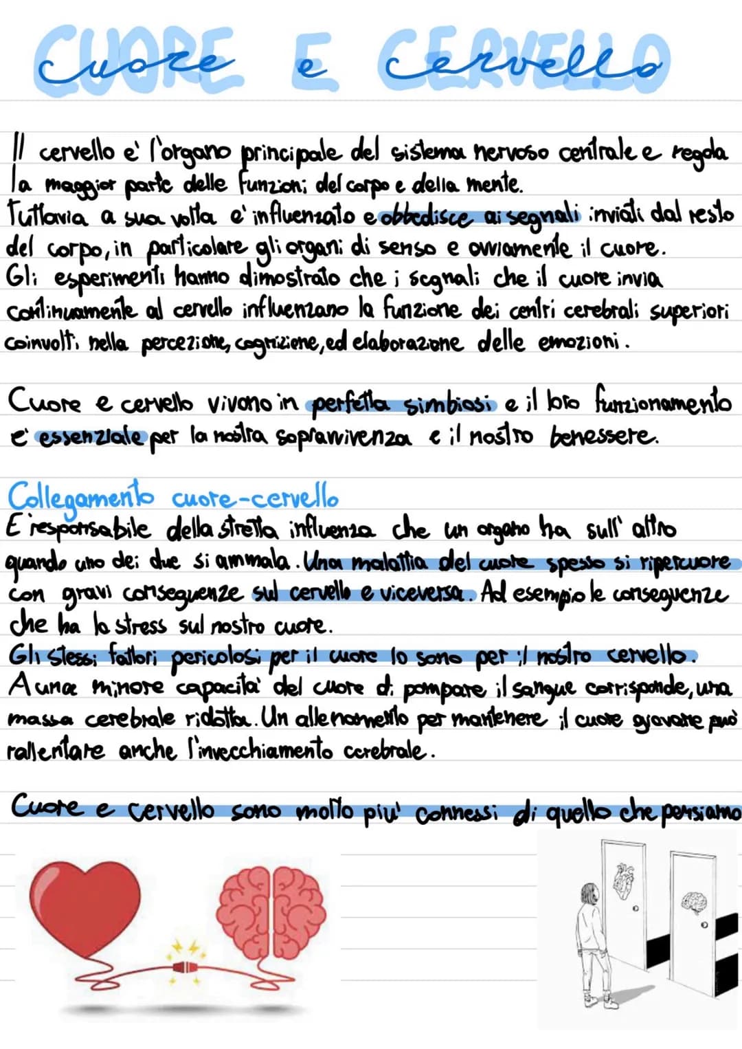 # EMISFERI CEREBRALI
L'emisfero cerebrale destro controlla le funzioni motorie della metà sinistra del corpo, mentre l'emisfero cerebrale si