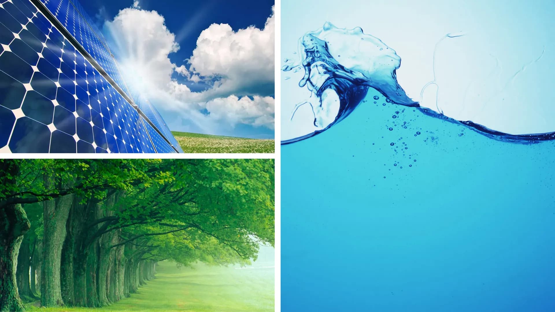 # CLIMAS Y PAISAJES DE ESPAÑA # CLIMA OCEÁNICO
Y SUS PAISAJES
Las temperaturas: inviernos suaves y veranos
frescos.
Las precipitaciones: