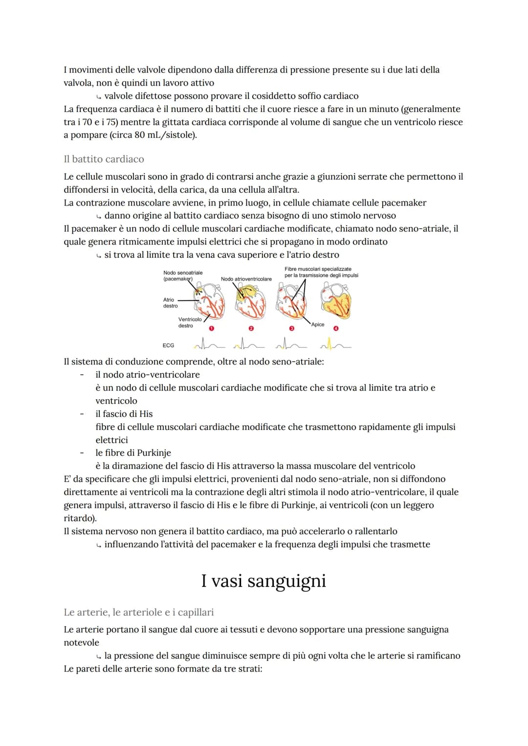 # L'apparato cardiovascolare
L'apparato cardiovascolare trasporta nel sangue tutti i materiali da e verso tutte le regioni
corporee per ass