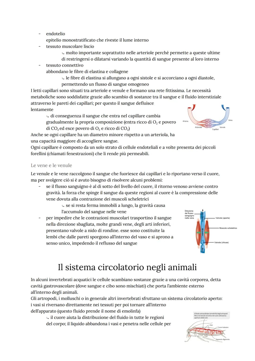 # L'apparato cardiovascolare
L'apparato cardiovascolare trasporta nel sangue tutti i materiali da e verso tutte le regioni
corporee per ass