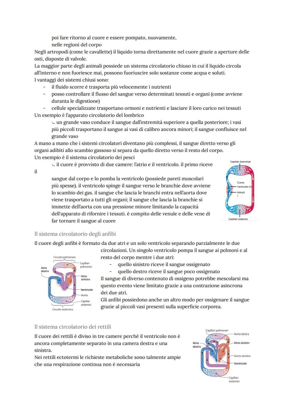 # L'apparato cardiovascolare
L'apparato cardiovascolare trasporta nel sangue tutti i materiali da e verso tutte le regioni
corporee per ass