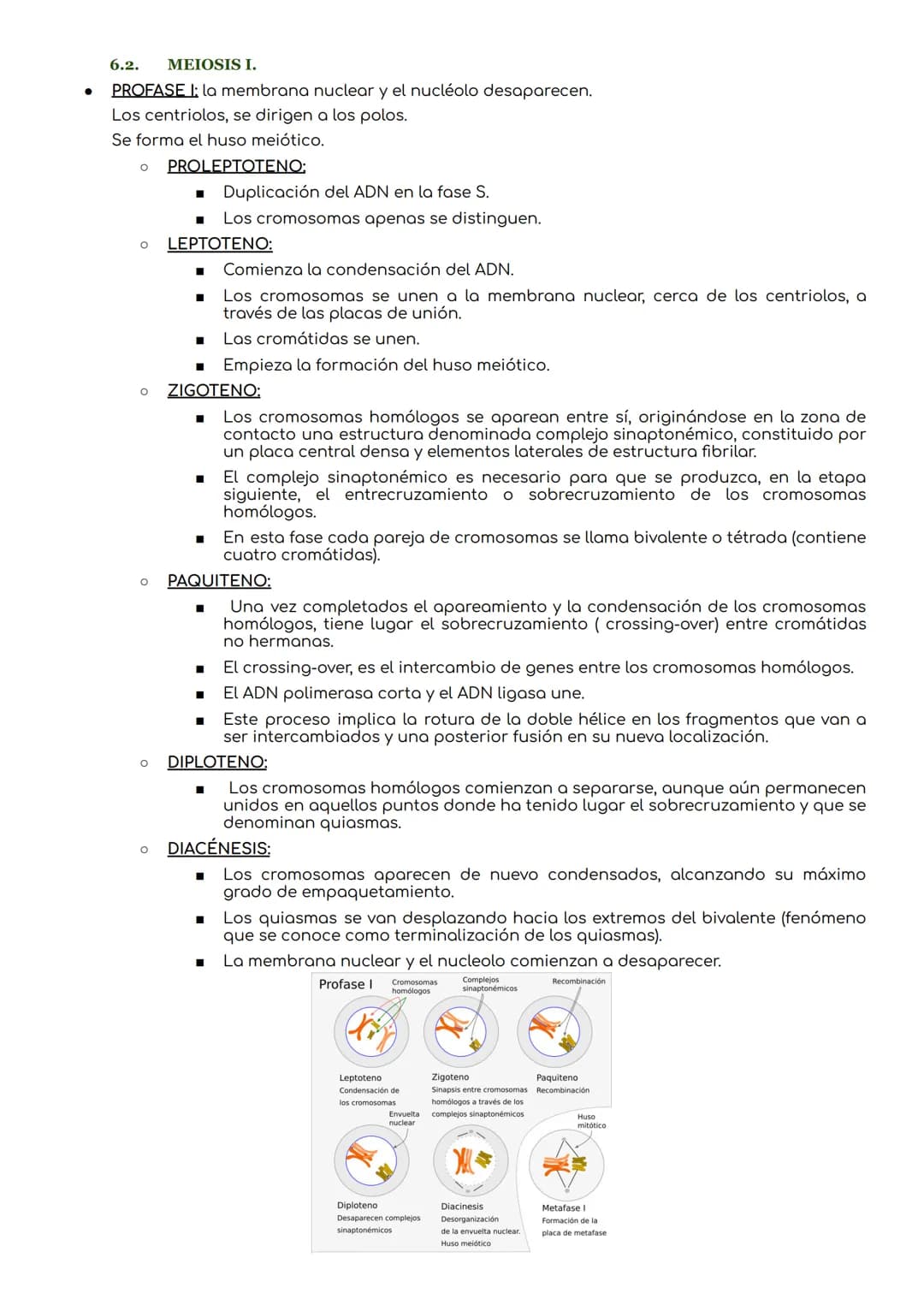 # Ciclo celular.
1. CICLO CELULAR.
periodo que abarca desde la formación de una célula hasta que se divide para dar lugar a nuevas
células.
