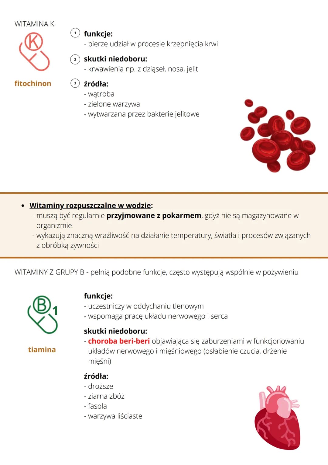 <h2>Witaminy i sole mineralne:</h2>
<ul>
<li>To są składniki pokarmowe, które są niezbędne do prawidłowego funkcjonowania organizmu. Zapotr