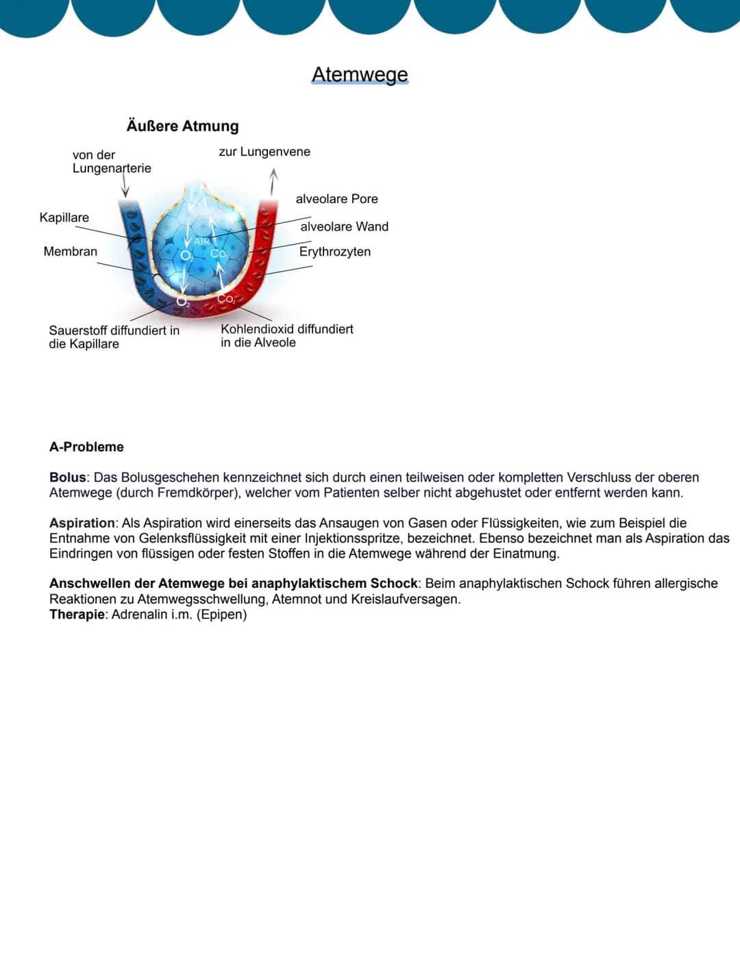 # Allgemeines
Fortbildungsanforderung
30 Fortbildungsstunden pro Jahr erforderlich.
PsychKG (Psychisch-Kranken-Gesetze)
Umgang mit psych