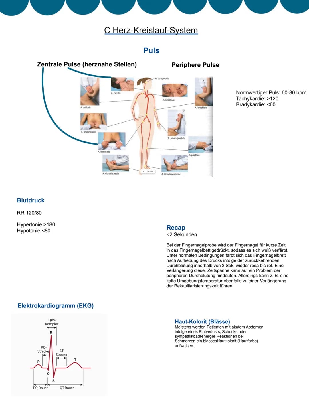 # Allgemeines
Fortbildungsanforderung
30 Fortbildungsstunden pro Jahr erforderlich.
PsychKG (Psychisch-Kranken-Gesetze)
Umgang mit psych