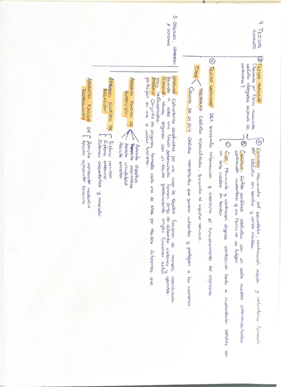 # 1. NIVECES DE ORGANIZACIÓN DE LA MATERIA VIVA
protones
NIVEL SUBATÓMICO neutrones
electrones
NIVEL ATÓMICO - BioELEMENTOS (elenerlos quí