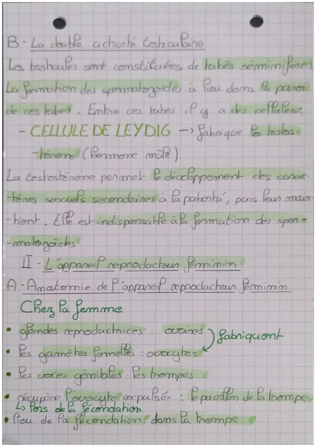 Conps hamain et somté:
ole Pa fécondation à la paberté
Les phémotypes masculims et fermimims se distinguent
pon des diffenences anatomiques