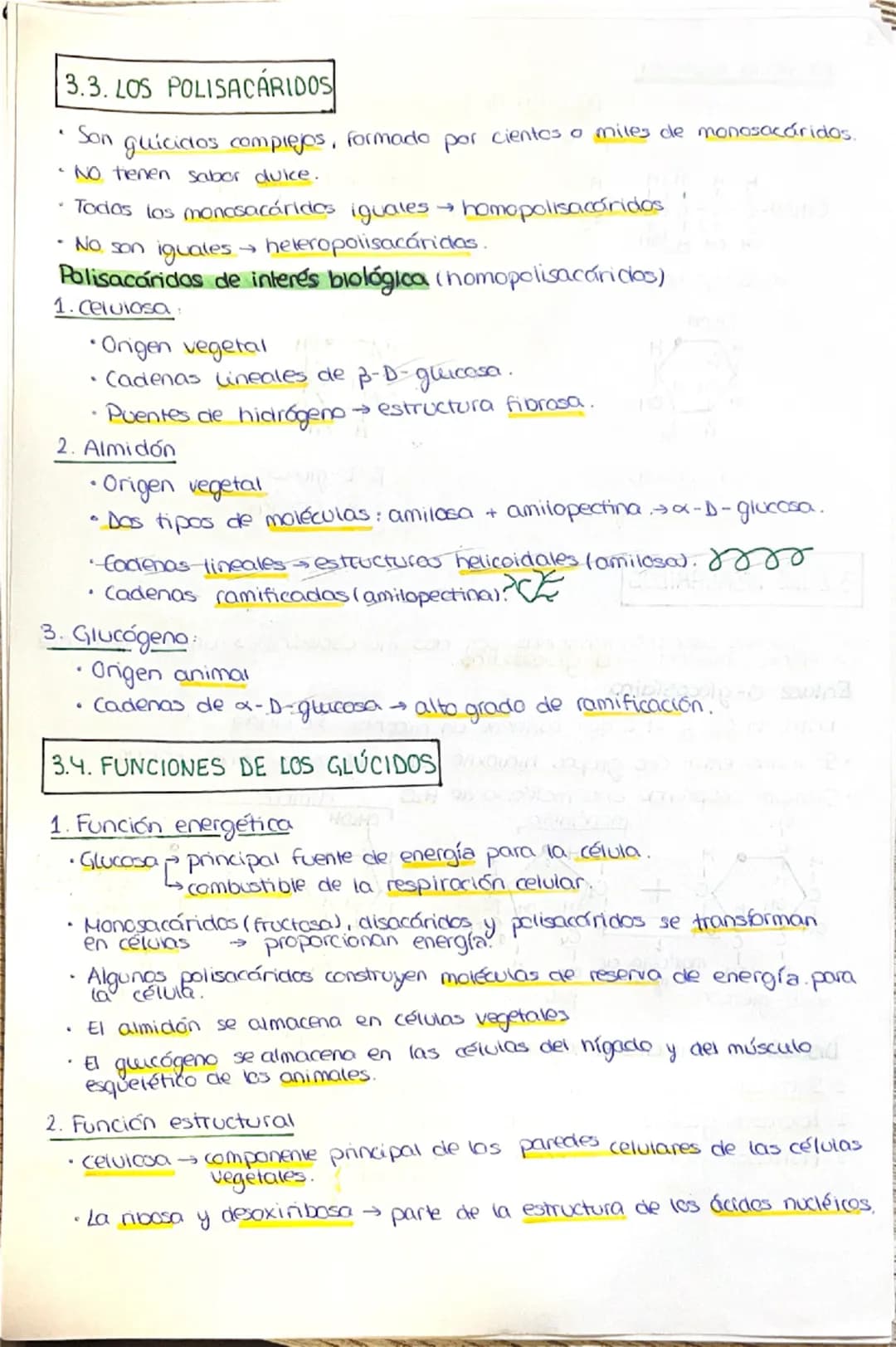 # 1. LA COMPOSICIÓN DE LA MATERIA VIVA
## 1.1. CARACTERÍSTICAS QUE DEFINEN A LOS SERES VIVOS
1. Una composición química similar (mismos el