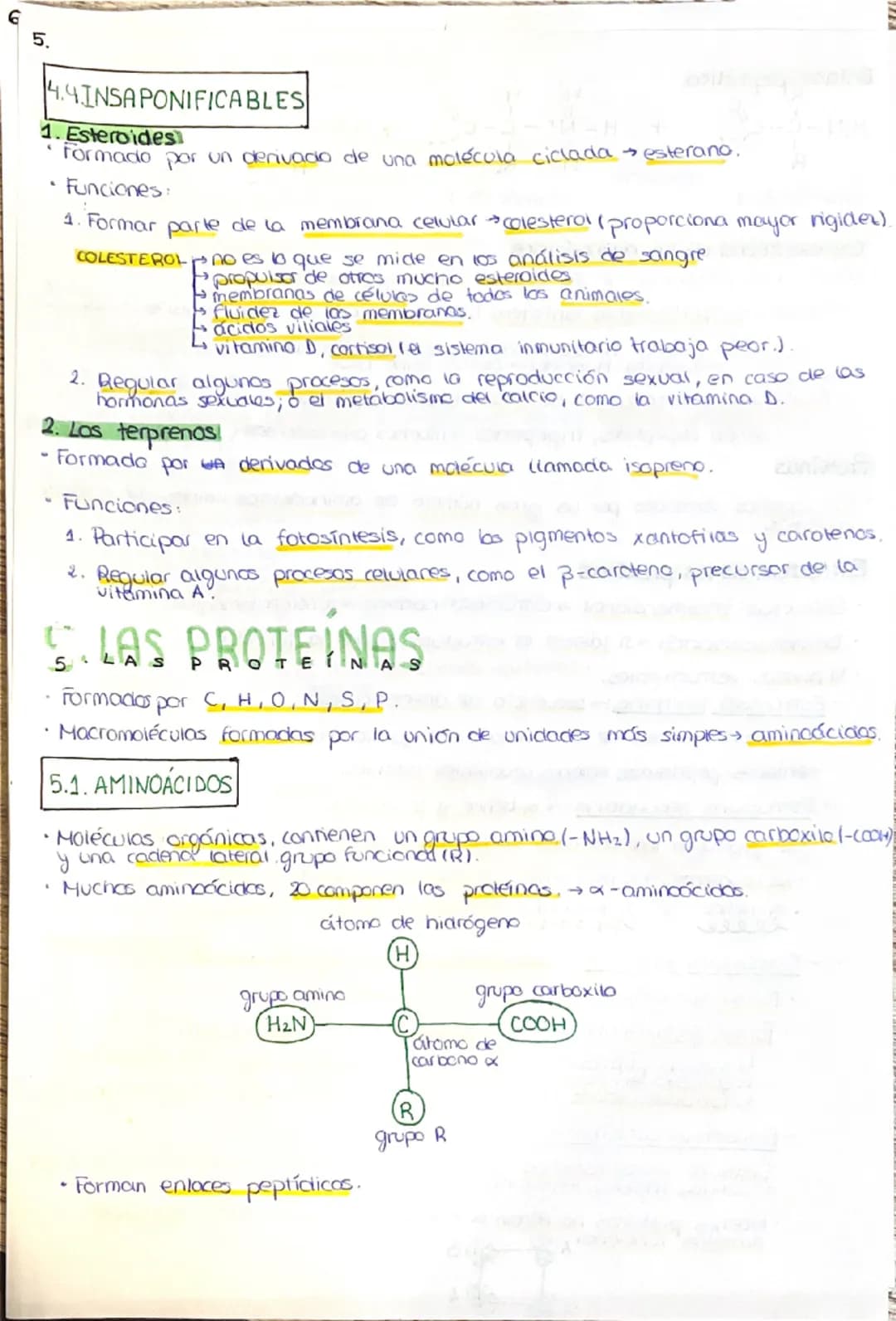 # 1. LA COMPOSICIÓN DE LA MATERIA VIVA
## 1.1. CARACTERÍSTICAS QUE DEFINEN A LOS SERES VIVOS
1. Una composición química similar (mismos el