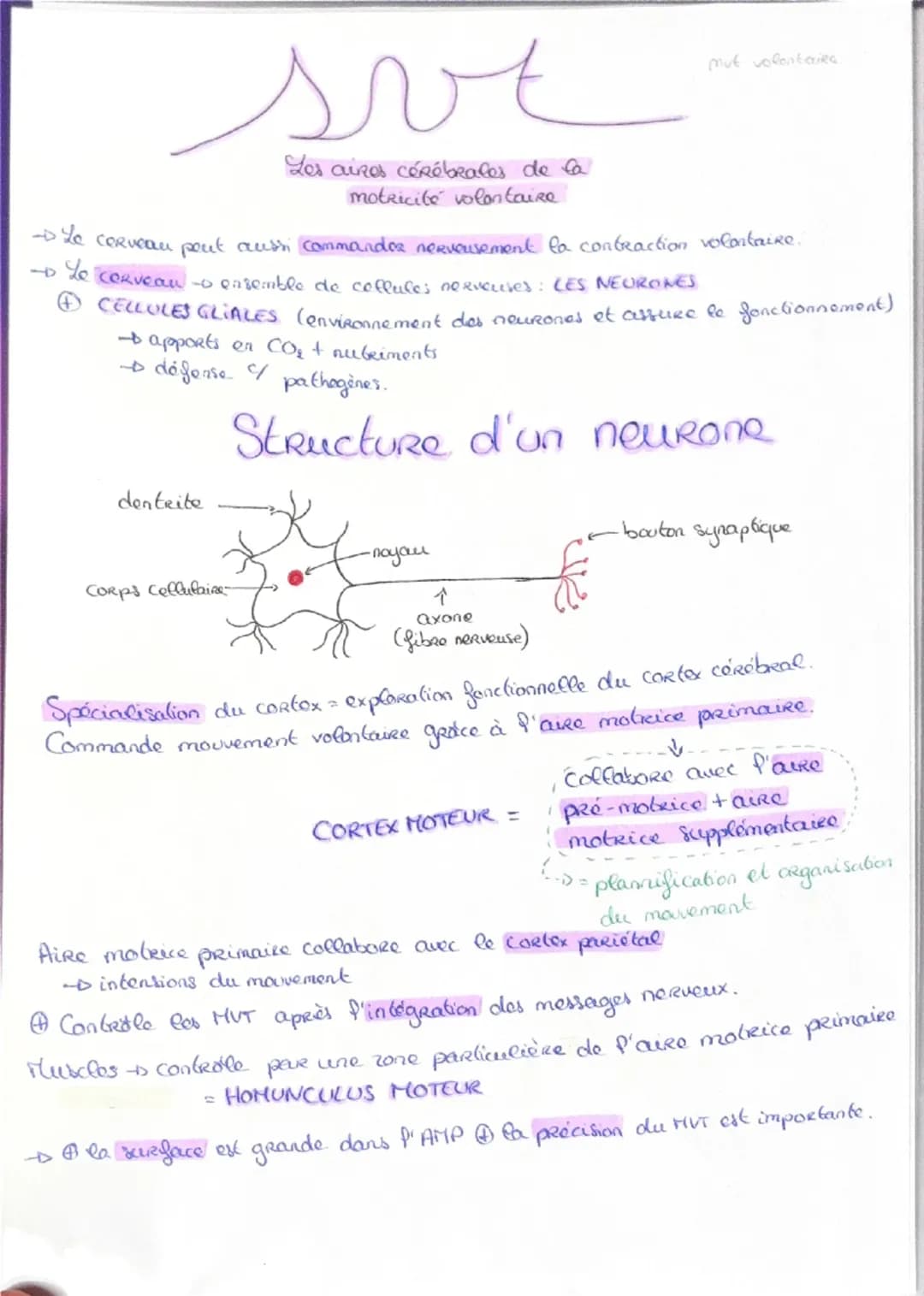 Haploide
(n)
a a qu'une qu seule fois
chaque type de
Chromosomes dans
Son noyau (pas
d'homologue)
VS
Diploide
(2n)
Lo fusion do 2 & hapl